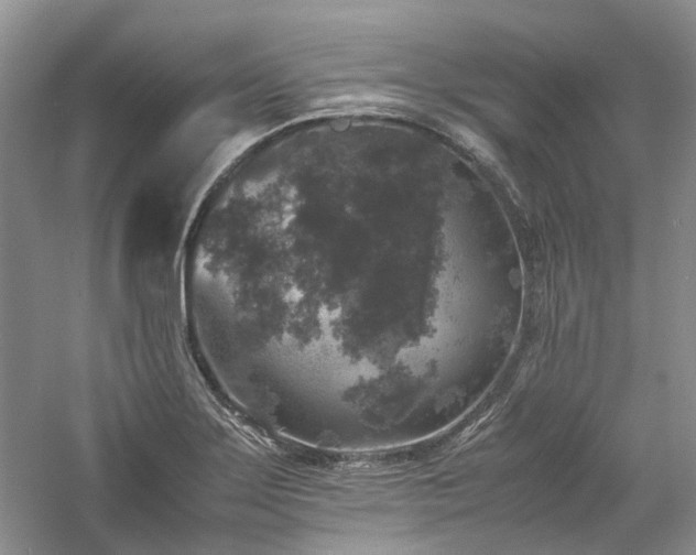 X0000061141275200511181158