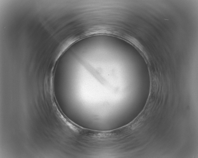 X0000061141290200511181158