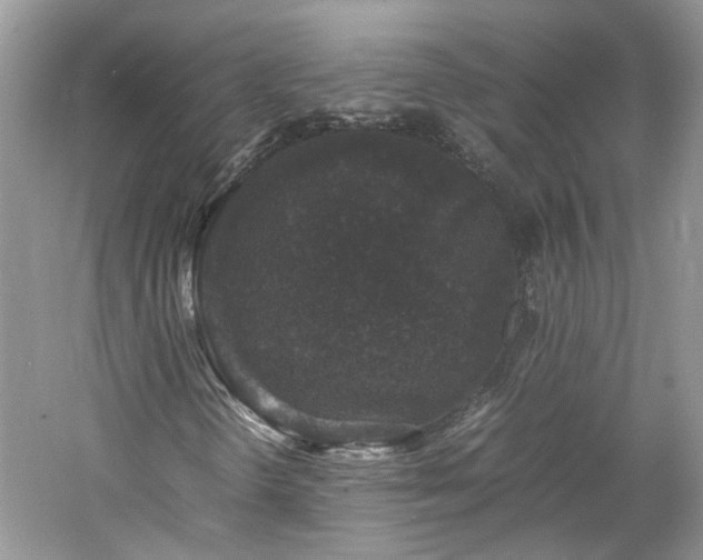 X0000061141298200511181157