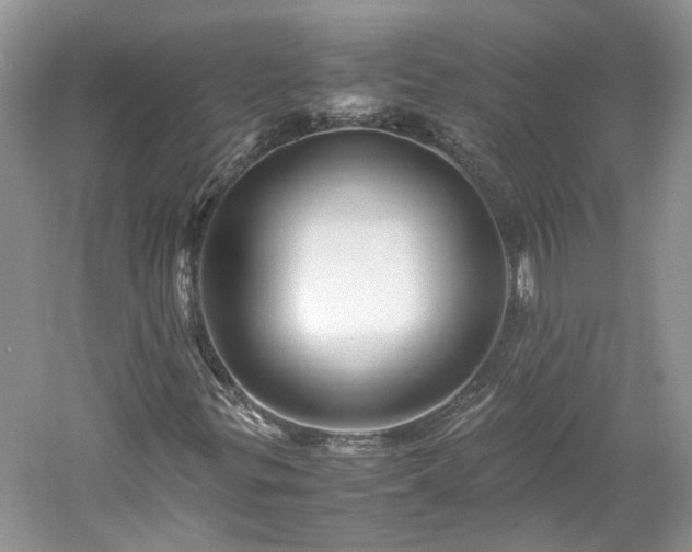 X0000061141299200511181157
