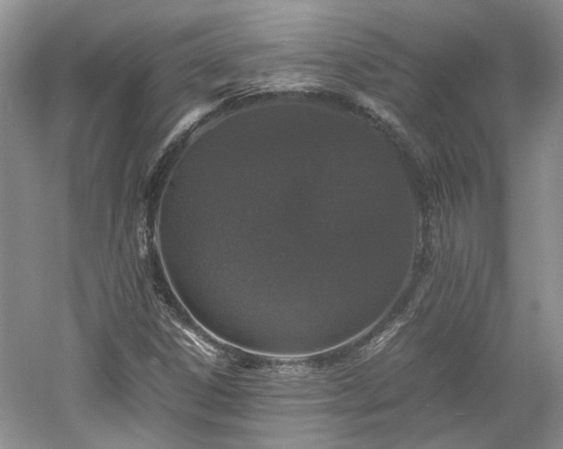 X0000061141306200511181157