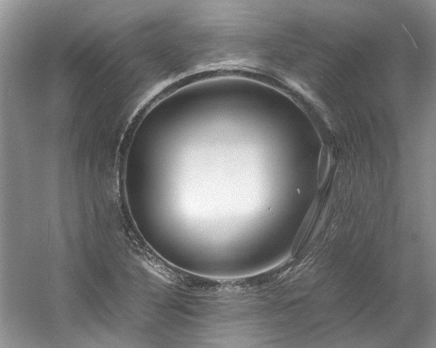 X0000061141316200511181157