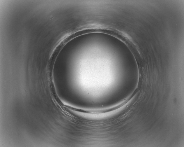 X0000061141318200511181157