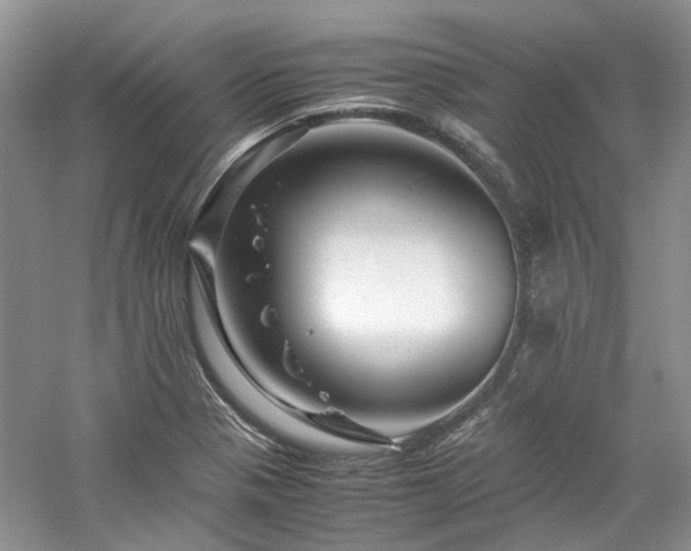 X0000061141321200511181157