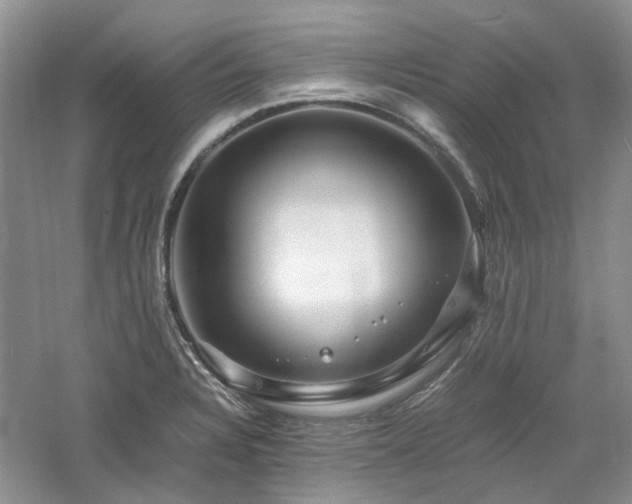 X0000061141328200511181157