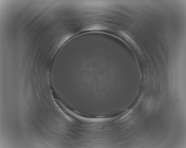X0000061141329200511181157