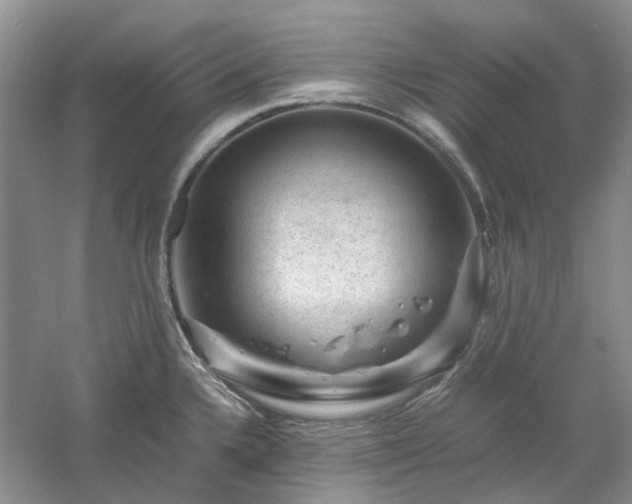 X0000061141336200511181158