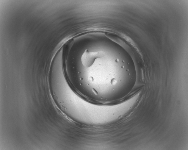 X0000061141338200511181158