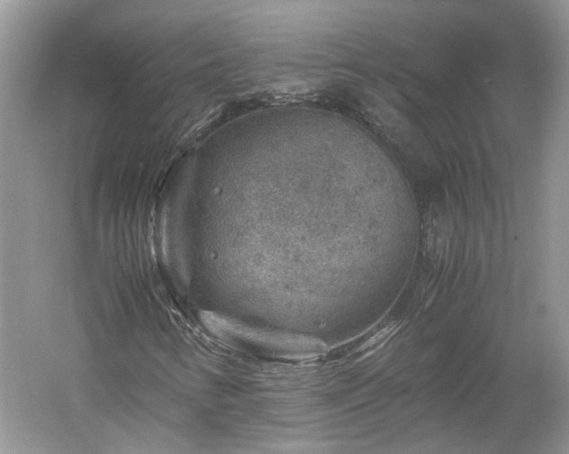 X0000061141346200511181157