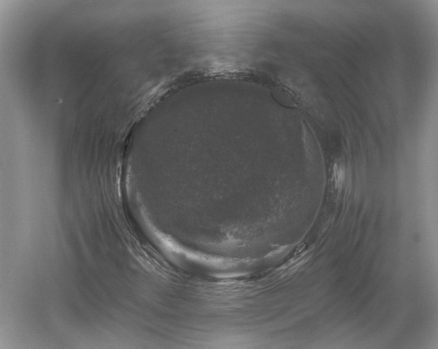 X0000061141348200511181157