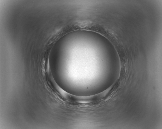X0000061141349200511181157