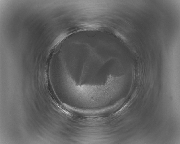 X0000061141354200511181157