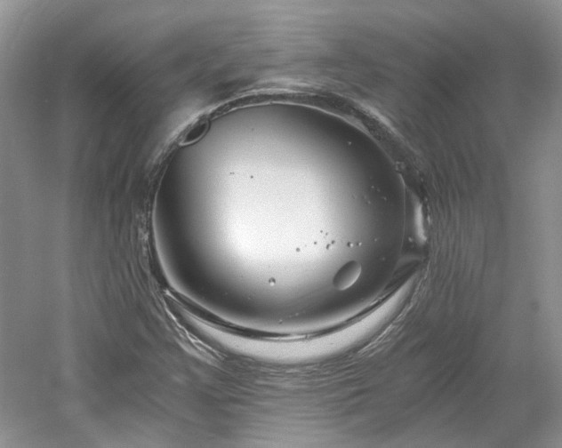 X0000061141355200511181157