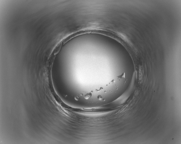 X0000061141356200511181157