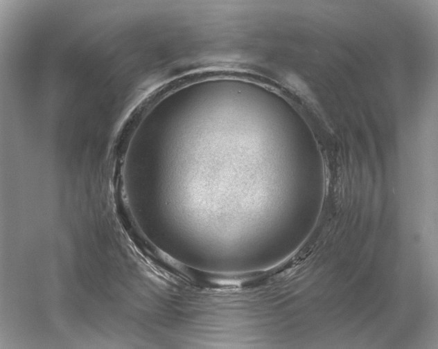 X0000061141360200511181157