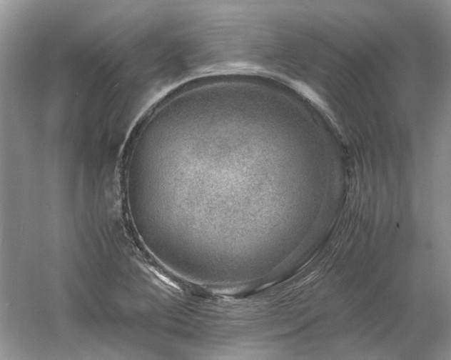 X0000061141364200511181157