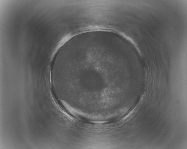 X0000061141365200511181157
