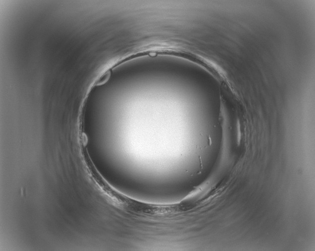 X0000061141375200511181156