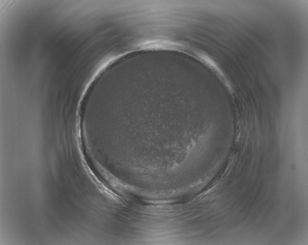 X0000061141376200511181156