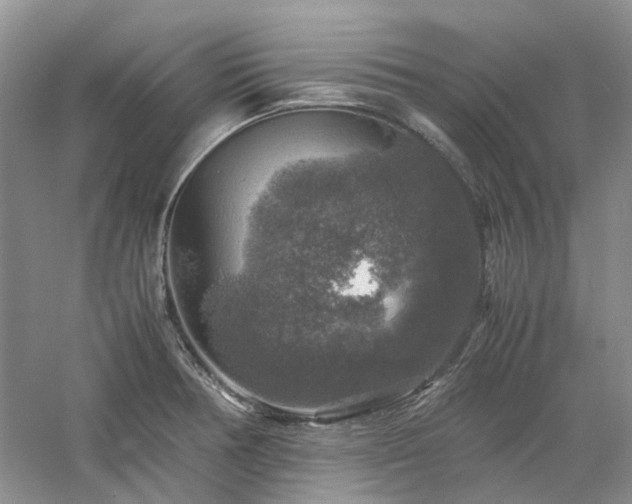 X0000061141378200511181156