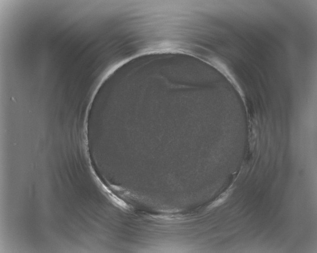 X0000061141388200511181156