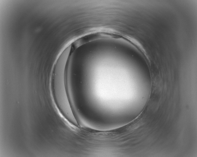 X0000061141391200511181156