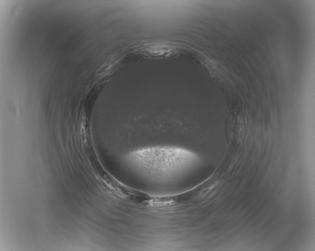 X0000061141394200511181155