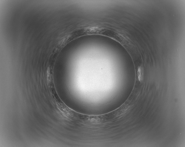 X0000061141395200511181155