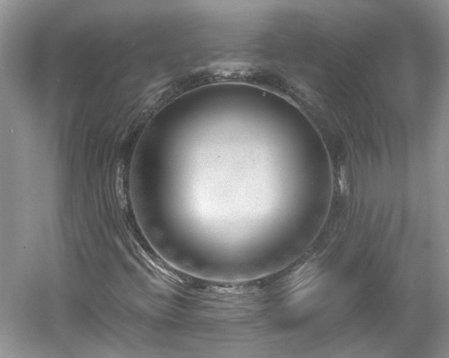 X0000061141396200511181155