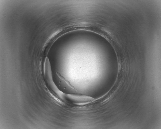 X0000061141402200511181155