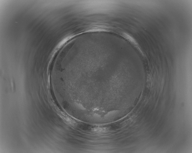 X0000061141419200511181156