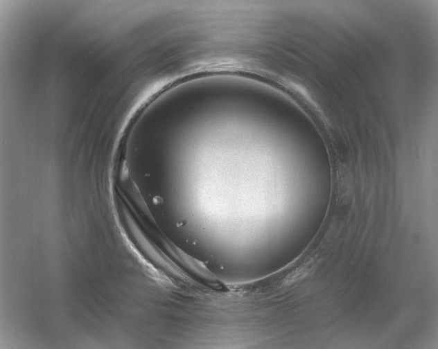 X0000061141424200511181156