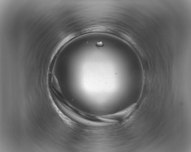 X0000061141426200511181156