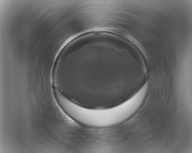 X0000061141428200511181156