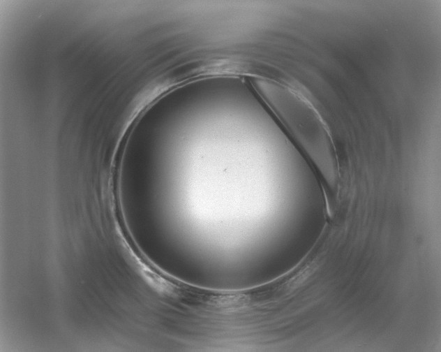 X0000061141434200511181156