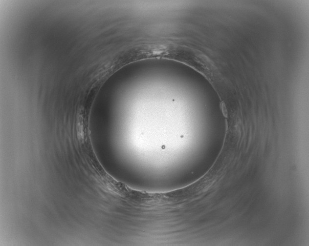 X0000061141442200511181155