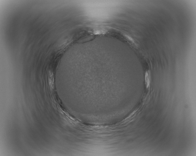 X0000061141443200511181155