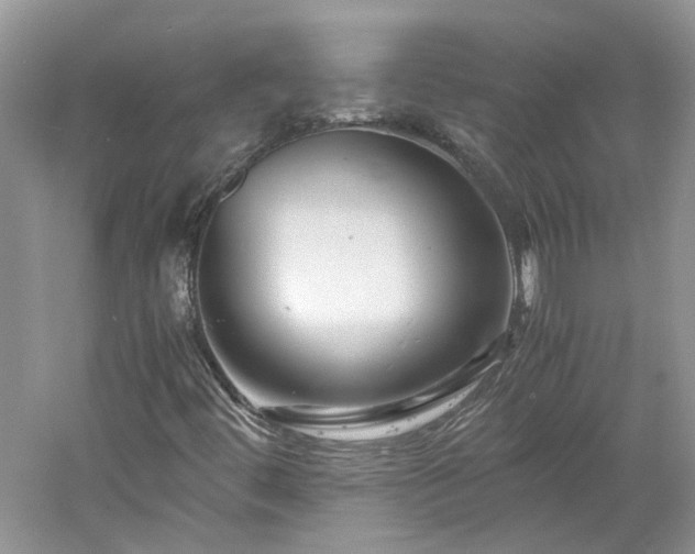 X0000061141444200511181155