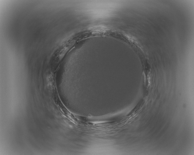 X0000061141445200511181155