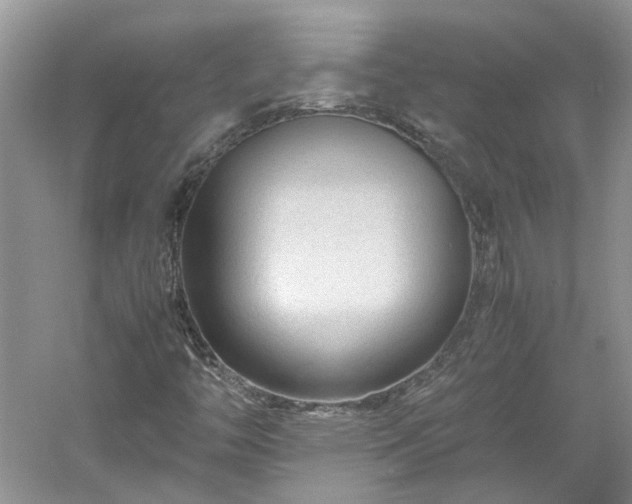X0000061141446200511181155
