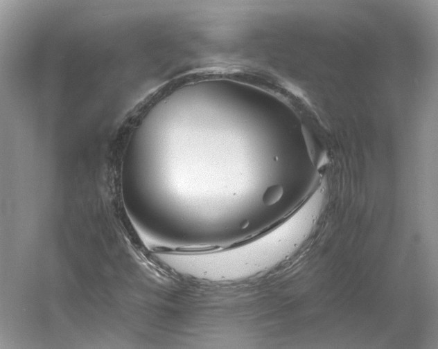 X0000061141448200511181155
