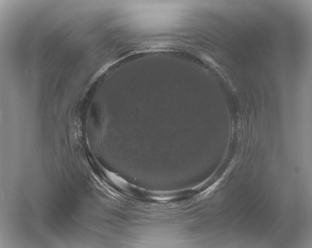 X0000061141449200511181155