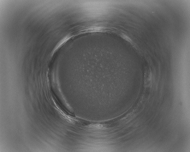 X0000061141450200511181155