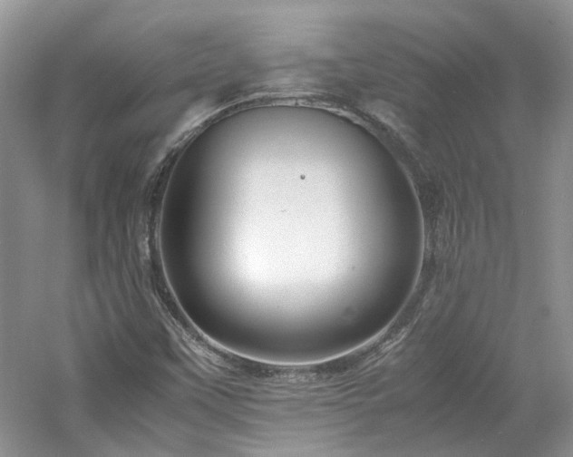 X0000061141451200511181155