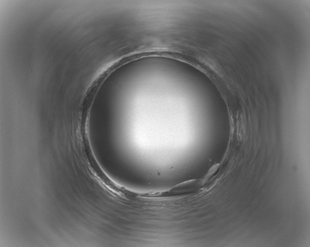 X0000061141452200511181155