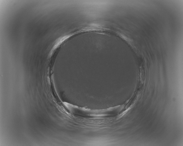 X0000061141453200511181155