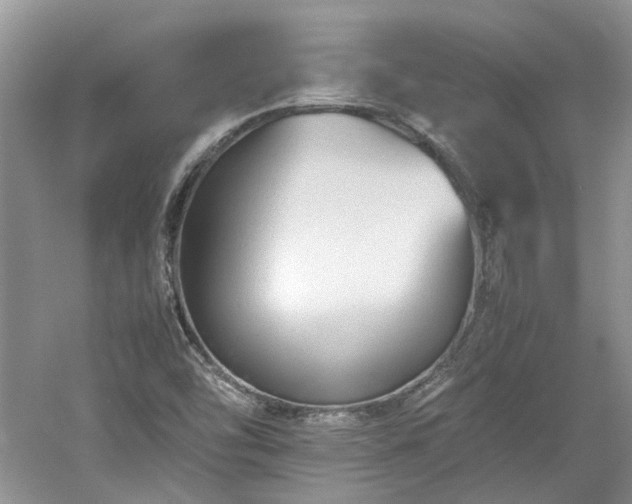 X0000061141454200511181155