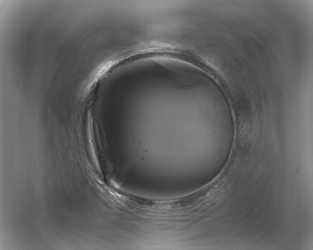X0000061141455200511181155