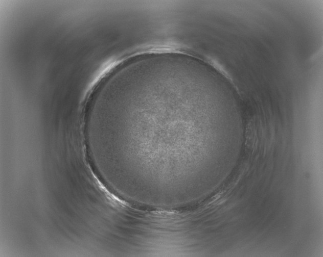 X0000061141456200511181155