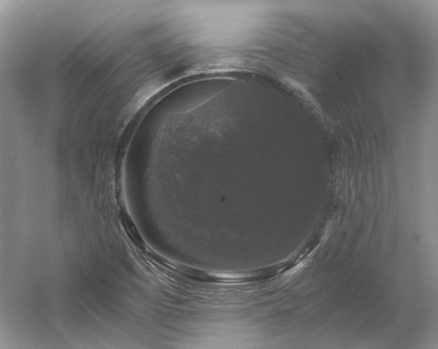 X0000061141457200511181155